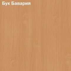 Антресоль для малого шкафа Логика Л-14.3.1 в Урае - uray.mebel24.online | фото 2