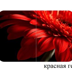 БОСТОН - 3 Стол раздвижной 1100/1420 опоры Триумф в Урае - uray.mebel24.online | фото 18
