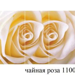 БОСТОН - 3 Стол раздвижной 1100/1420 опоры Триумф в Урае - uray.mebel24.online | фото 48