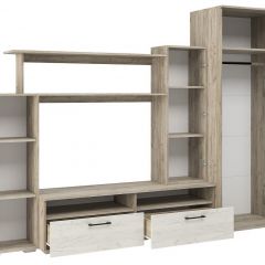 Гостиная Эмма (Дуб Крафт серый/белый) в Урае - uray.mebel24.online | фото 3