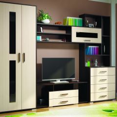 Гостиная ЕВРОПА-1 (Венге/Дуб молочный) в Урае - uray.mebel24.online | фото