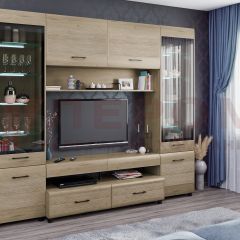 Гостиная Камелия Композиция 11 (Гикори Джексон светлый) в Урае - uray.mebel24.online | фото