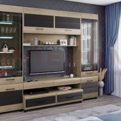Гостиная Камелия Композиция 11 (Гикори Джексон светлый комбинированный) в Урае - uray.mebel24.online | фото