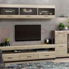 Гостиная Камелия Композиция 12 (Гикори Джексон светлый) в Урае - uray.mebel24.online | фото