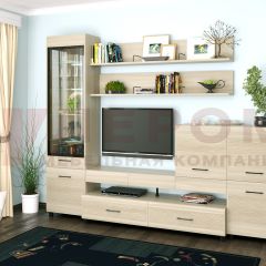Гостиная Камелия Композиция 5 (Ясень Асахи) в Урае - uray.mebel24.online | фото