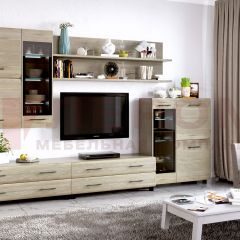 Гостиная Камелия Композиция 6 (Гикори Джексон светлый) в Урае - uray.mebel24.online | фото