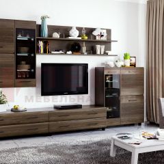 Гостиная Камелия Композиция 6 (Гикори Джексон темный) в Урае - uray.mebel24.online | фото