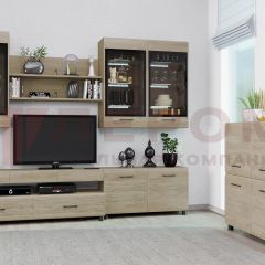 Гостиная Камелия Композиция 8 (Гикори Джексон светлый) в Урае - uray.mebel24.online | фото 3
