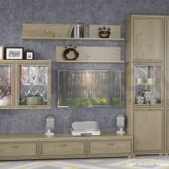Гостиная Карина Композиция 1 (Гикори Джексон светлый) в Урае - uray.mebel24.online | фото