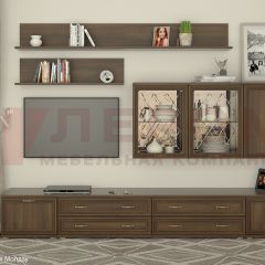 Гостиная Карина Композиция 10 (Акация Молдау) в Урае - uray.mebel24.online | фото