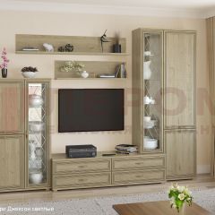 Гостиная Карина Композиция 12 (Гикори Джексон светлый) в Урае - uray.mebel24.online | фото