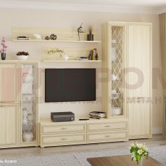 Гостиная Карина Композиция 12 (Ясень Асахи) в Урае - uray.mebel24.online | фото