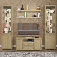 Гостиная Карина Композиция 13 (Гикори Джексон светлый) в Урае - uray.mebel24.online | фото