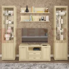 Гостиная Карина Композиция 13 (Ясень Асахи) в Урае - uray.mebel24.online | фото