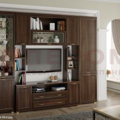 Гостиная Карина Композиция 2 (Акация Молдау) в Урае - uray.mebel24.online | фото