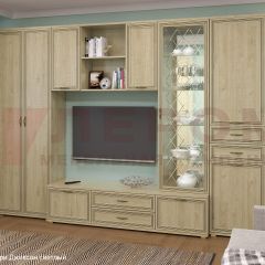Гостиная Карина Композиция 21 (Гикори Джексон светлый) в Урае - uray.mebel24.online | фото 6
