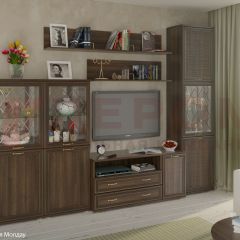 Гостиная Карина Композиция 22 (Акация Молдау) в Урае - uray.mebel24.online | фото