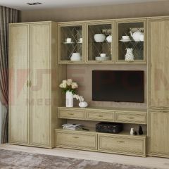 Гостиная Карина Композиция 23 (Гикори Джексон светлый) в Урае - uray.mebel24.online | фото