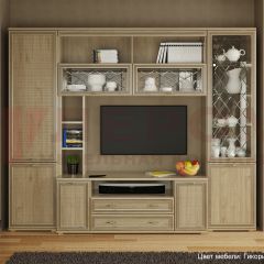 Гостиная Карина Композиция 9 (Гикори Джексон светлый) в Урае - uray.mebel24.online | фото
