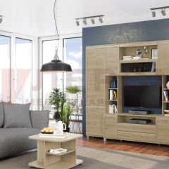 Гостиная Мелисса Композиция 2 (Гикори Джексон светлый) в Урае - uray.mebel24.online | фото
