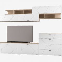 Гостиная Скайлайн набор ДБ- 4 (дуб сонома светлый/белый) в Урае - uray.mebel24.online | фото