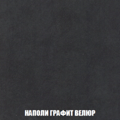 Кресло-кровать Виктория 3 (ткань до 300) в Урае - uray.mebel24.online | фото 38