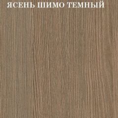 Кровать 2-х ярусная с диваном Карамель 75 (Музыка) Ясень шимо светлый/темный в Урае - uray.mebel24.online | фото 5