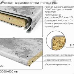 Кухонный фартук со столешницей (А-01) в едином стиле (3050 мм) в Урае - uray.mebel24.online | фото 6