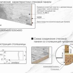 Кухонный фартук со столешницей (А-01) в едином стиле (3050 мм) в Урае - uray.mebel24.online | фото 7