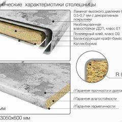 Кухонный фартук со столешницей (А-07) в едином стиле (3050 мм) в Урае - uray.mebel24.online | фото 6