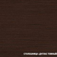 Кухонный гарнитур Полина стандарт 1600 в Урае - uray.mebel24.online | фото 12