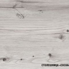 Кухонный гарнитур Сиена мини 1000 мм в Урае - uray.mebel24.online | фото 8