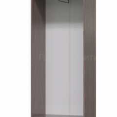 ДОМИНО Прихожая Шкаф для одежды (Бодега темный/светлый) в Урае - uray.mebel24.online | фото 2