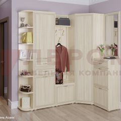 Прихожая Карина композиция 5 (Ясень Асахи) в Урае - uray.mebel24.online | фото