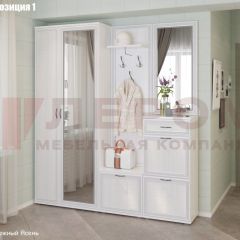 Прихожая Карина (модульная) в Урае - uray.mebel24.online | фото 3