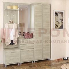 Прихожая Мелисса композиция 11 (Ясень Асахи) в Урае - uray.mebel24.online | фото