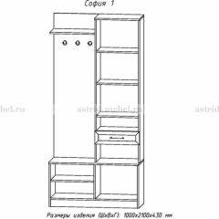 Прихожая София 1 в Урае - uray.mebel24.online | фото 3