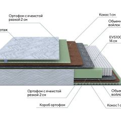 PROxSON Матрас Green M (Tricotage Dream) 80x210 в Урае - uray.mebel24.online | фото 7