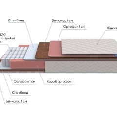 PROxSON Матрас Standart Plus M Roll (Ткань Жаккард) 120x200 в Урае - uray.mebel24.online | фото 6