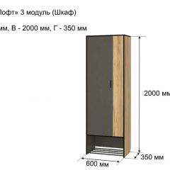ОЛЬГА-ЛОФТ 3 Шкаф 2-х створчатый в Урае - uray.mebel24.online | фото 4