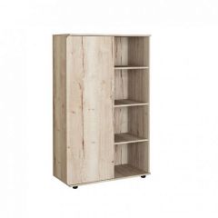 Шкаф комбинированный Дельта Лофт-13 Дуб Ирладндский в Урае - uray.mebel24.online | фото 1