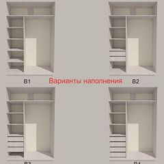 Шкаф-купе 1300 серии SILVER S3+S4+B2+PL4 (2 ящика+F обр.штанга) профиль «Серебро» в Урае - uray.mebel24.online | фото 5