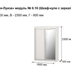 Шкаф-купе 1600 с зеркалом "Мария-Луиза 6.16" в Урае - uray.mebel24.online | фото 4