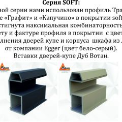 Шкаф-купе 1600 серии SOFT D6+D6+B2+PL3 (2 ящика+2штанги) профиль «Капучино» в Урае - uray.mebel24.online | фото 12