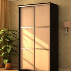 Шкаф-купе "Де-Люкс" 2-х дверный №1 (1200) в Урае - uray.mebel24.online | фото