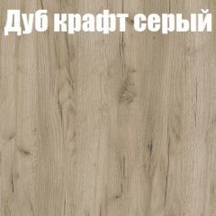 Шкаф-купе Бассо 1.0 (Дуб Крафт серый/Бетонный камень) 2 двери ЛДСП 1 зеркальная вставка в Урае - uray.mebel24.online | фото 4