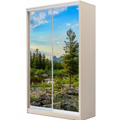 Шкаф-купе ХИТ 22-4-12/2-77 (420) в Урае - uray.mebel24.online | фото 14