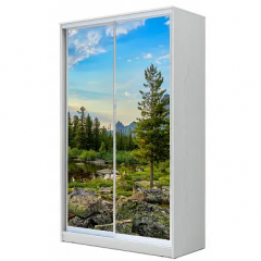 Шкаф-купе ХИТ 22-4-12-77 (420) в Урае - uray.mebel24.online | фото 2