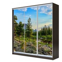 Шкаф-купе ХИТ 23-4-18-777 (420) в Урае - uray.mebel24.online | фото 1