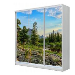 Шкаф-купе ХИТ 23-4-20/2-777 (420) в Урае - uray.mebel24.online | фото